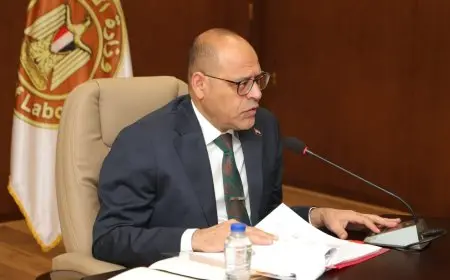 وزير العمل يؤكد عدم جواز فصل العامل بدون حكم قضائي بموجب القانون الجديد