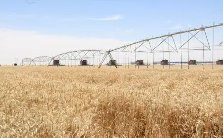 محافظ بني سويف يعلن استلام 284100 طن من الأقماح المحلية في الصوامع والشون منذ بدء الموسم الزراعي