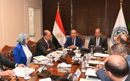 وزيرا قطاع الأعمال والمالية يستعرضان سبل زيادة عوائد أصول الدولة