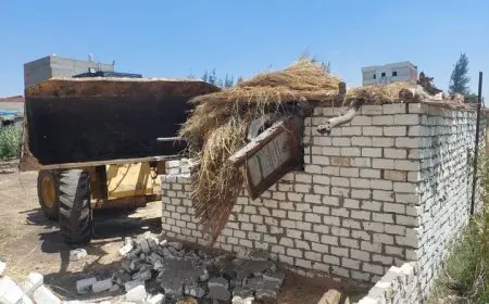 بدء المرحلة الأولى من الموجة الـ27 حملات إزالة التعديات على الأراضي الزراعية في كفر الشيخ