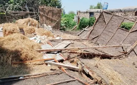 محافظ الدقهلية يؤكد أن التعديات خط أحمر ويشدد على ضرورة التنفيذ الفوري للإزالات لردع المخالفين