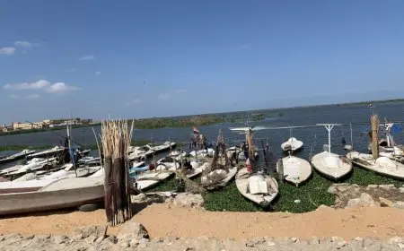 وزارة الزراعة توضح أسباب نفوق الأسماك في مزارع بحيرة المنزلة وتأثير الحرارة عليها