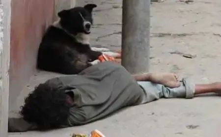 التضامن تكشف عن نتائج جهودها لمعالجة حالات الأطفال بلا مأوى في 5 محافظات