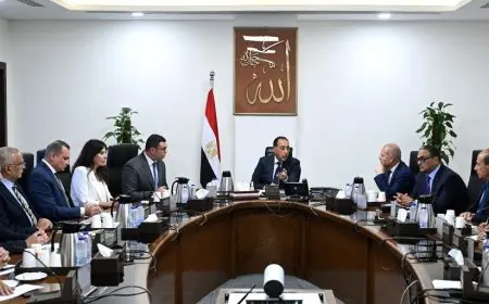 رئيس الوزراء يتابع جهود تجديد وسط البلد والقاهرة الخديوية لتحسين البنية التحتية