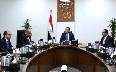 رئيس الوزراء يواصل جهوده لضمان تأمين التغذية الكهربائية لمشروعات الدلتا الجديدة