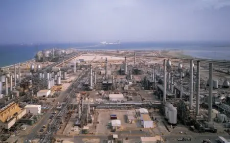 المنطقة الصناعية بالقنطرة تخلق 45 ألف فرصة عمل من خلال 31 مشروع بكلفة 799 مليون دولار