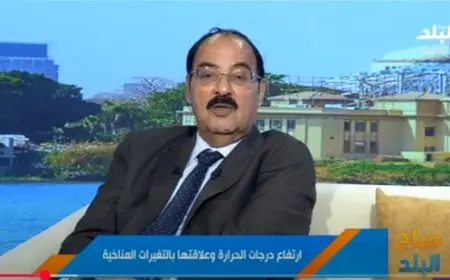 خبير بيئي يحذر من المخاطر البيئية لو waves الحر ويقدم نصائح فعالة للوقاية من الظواهر المناخية المتطرفة