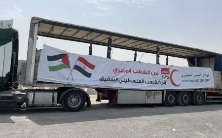 قافلة زاد العزة تصل غزة محملة بـ 3450 طن من المساعدات الغذائية والطبية في اليوم الثالث عشر