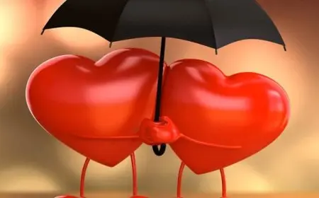 فرق الحب والتعلق وتأثيرهما على العلاقات العاطفية الجديدة