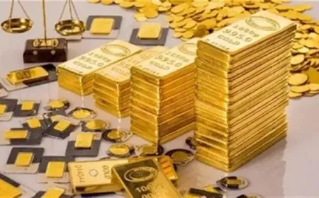 سعر سبيكة ذهب وزن 50 جرام BTC اليوم الثلاثاء 12 أغسطس 2025