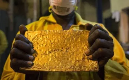 جنوب إفريقيا تتراجع في إنتاج الذهب بعد ذروة القرن العشرين