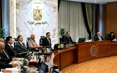 الحكومة تقر إعفاء سيارات ذوي الإعاقة من الضرائب الجمركية لتعزيز الدعم والمساواة