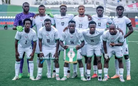 نيجيريا تودع بطولة أمم أفريقيا للمحليين بعد هزيمة قوية أمام السودان برباعية