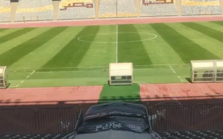 استعدادات تطوير أرضية استاد برج العرب قبل انطلاق الدوري مع صور حصرية