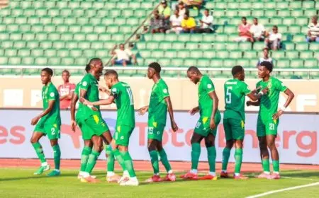 منتخب موريتانيا يحقق انتصارًا حاسمًا على بوركينا فاسو ويعزز فرصه في التأهل لربع نهائي أمم أفريقيا للمحليين