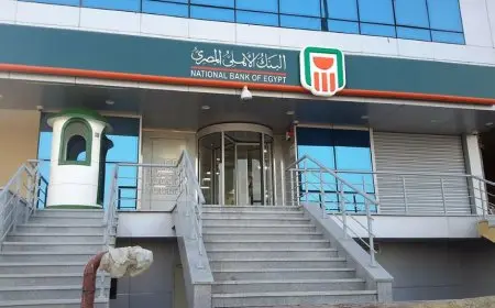 أعلى حسابات التوفير في البنك الأهلي لعام 2025 بعائد يصل إلى 20%