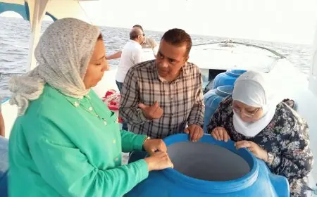 إطلاق مليون يرقة جديدة من جمبري بحيرة قارون لحماية المخزون السمكي