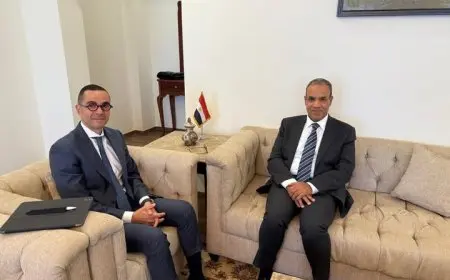 وزير الخارجية يسعى لتعزيز التواجد الاقتصادي المصري في إفريقيا من خلال لقائه مع وزير الاستثمار