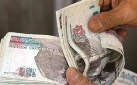 قروض بدون فوائد من 3 بنوك تعرف على الفئات المستهدفة والمزايا