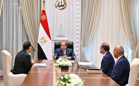 الرئيس السيسي يقرر تعزيز الميزانية لبرنامجي تكافل وكرامة ودعم قطاعات الصحة والتعليم