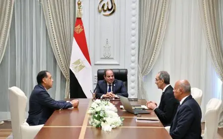 الرئيس السيسي يعلن عن استراتيجيات فعالة لتطبيق الذكاء الاصطناعي في مصر