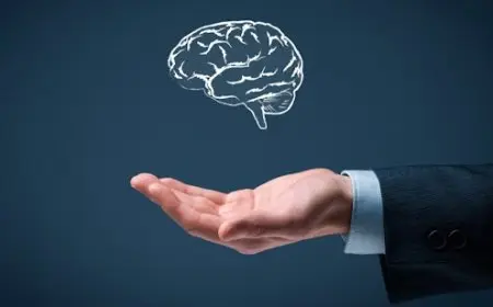 تطورات غير متوقعة حول تطبيق قانون مكافحة انتهاكات حقوق الملكية الفكرية في مصر