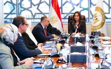 وزيرة التنمية المحلية تستعرض الاستعدادات الوطنية لقمة المناخ COP30 في البرازيل