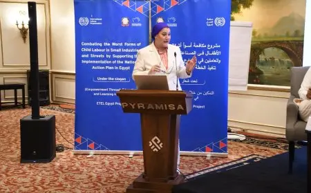 رئيسة القومي للطفولة تشارك في اجتماع اللجنة التوجيهية لمواجهة ظاهرة عمل الأطفال