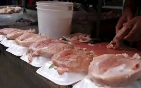 أسعار البانيه والدواجن تشهد ارتفاعًا ملحوظًا في الأسواق اليوم الثلاثاء 19 أغسطس 2025