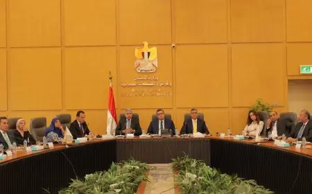 وزير السياحة والإسكان ومحافظ الجيزة يتفقدون مشروع تطوير المنطقة المحيطة بمطار سفنكس