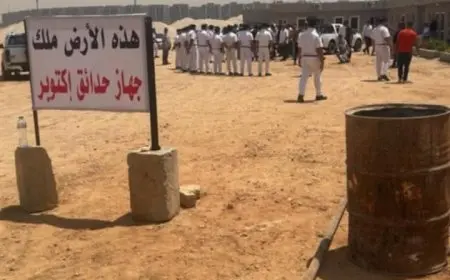 جهاز حدائق أكتوبر يتخذ خطوة رسمية بسحب أرض الزمالك