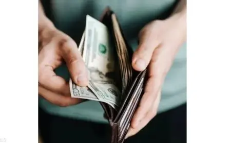 سونيا الحبال تكشف كيف يعزز تنظيم الأموال في المحفظة طاقتها ويسرع نموها