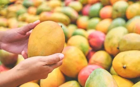 أسعار المانجو في سوق العبور اليوم الثلاثاء 19 أغسطس 2025 تتصدر المشهد