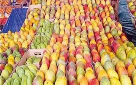 تحديث أسعار المانجو اليوم الأربعاء في سوق العبور عقب انخفاضات ملحوظة