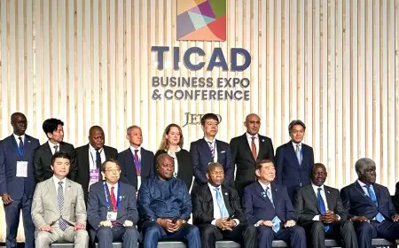 وزير التعليم يعلن عن شراكة جديدة مع المؤسسات اليابانية لتحسين جودة التعليم في مصر