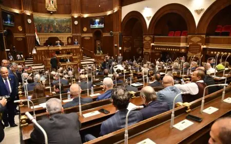 برلماني يؤكد أن مصر ستقدم أفعالاً ملموسة لدعم التهدئة في غزة وليس مجرد كلمات