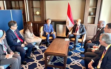 وزير التعليم يبحث سبل التعاون التعليمي مع رئيس جامعة هيروشيما لتعزيز العلاقات بين مصر واليابان