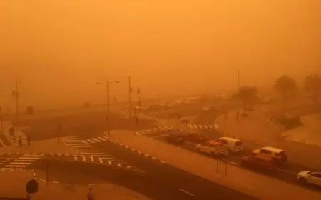 الأرصاد الجوية تكشف عن أماكن أمطار الغد وتفاصيل حالة الطقس يوم الجمعة والظواهر الجوية المتوقعة