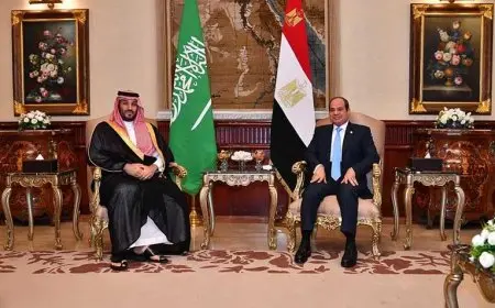 الرئيس السيسي وولي العهد السعودي يسلطان الضوء على تعزيز الاستثمارات وإطلاق مجلس التنسيق الأعلى بين مصر والسعودية