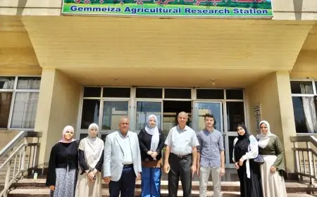 كيان كوادر شباب مصر بالغربية يقيم ندوة حوارية لطلاب وخريجي كليات الزراعة حول فرص العمل في السوق