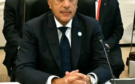 رئيس الوزراء يشارك في الجلسة الختامية لمؤتمر تيكاد 9 الدولي للتنمية الأفريقية في طوكيو