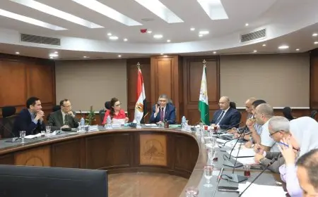 الجيزة تطلق خطة شاملة لتحديث مرافق المنطقة الصناعية بأبو رواش وتعزيز بنيتها التحتية