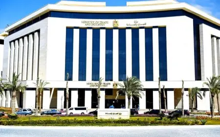 وزارة الصناعة تتخذ خطوات لإنشاء مجمع متكامل لإنتاج الزبيب لتحقيق الاكتفاء الذاتي