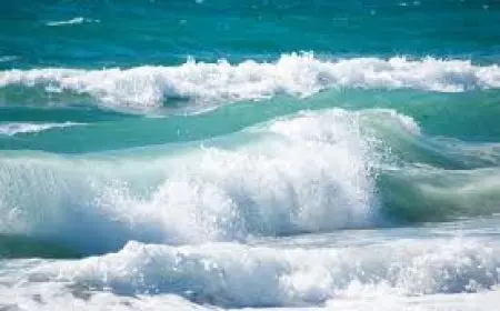 ست وفيات و24 مصابا تفاصيل حادث غرق طلاب بالإسكندرية الكارثي