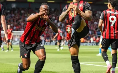 بورنموث يسجل أول انتصاراته في الدوري الإنجليزي الممتاز أمام وولفرهامبتون