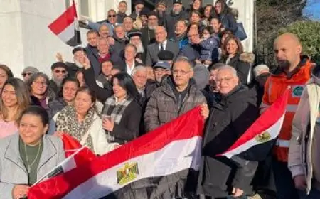 مبادرة وطنك أمانة كيف يساهم المصريون في الخارج في دعم الوطن