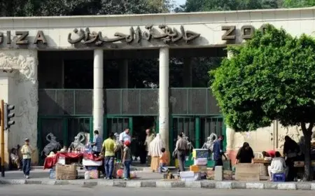 أعمال تطوير شاملة لا تتوقف في حديقة الحيوان بالجيزة لتعزيز تجربة الزوار