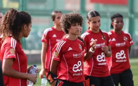 الأهلي يتحدى بالم هيلز في افتتاحية الدوري الجديد