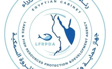 بحيرة قارون تستعيد حيويتها مع إنزال الدفعة الخامسة من يرقات الجمبري