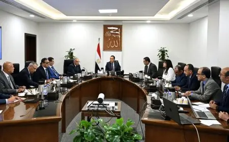رئيس الوزراء يراقب تقدم تنفيذ مشروع الدلتا الجديدة ويستعرض آخر المستجدات
